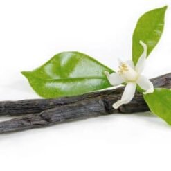Alternative view of Sibel Massagekaars Vanille 80g