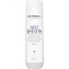 Goldwell Dualsenses Just Smooth Taming Shampoo 250ML