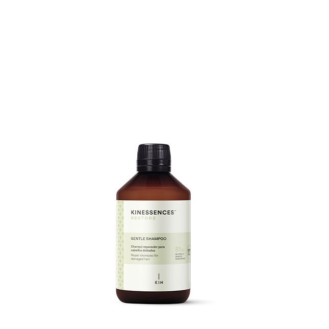 restore shampoo 300ml